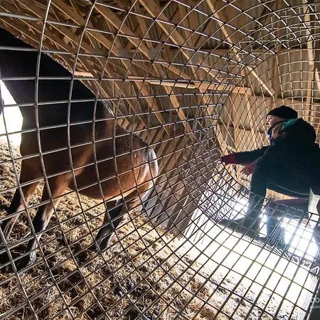 Bernsteinland Hirschburg Prázdninový areál *