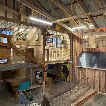 Prázdninový areál Bernsteinland Hirschburg